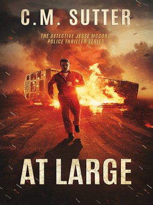 cover image of At Large